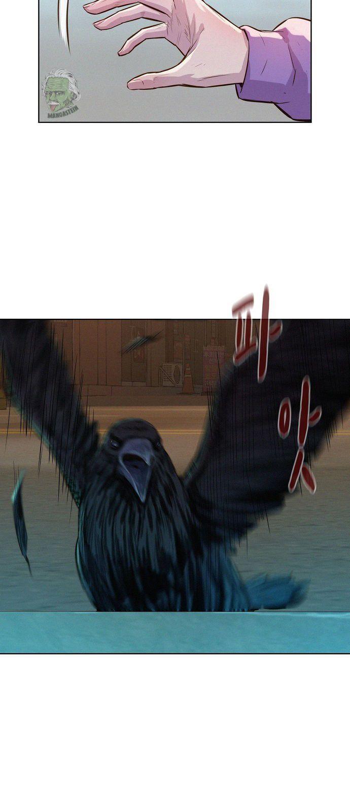 31-cmnq2268807i4ucwa0pciz3a1