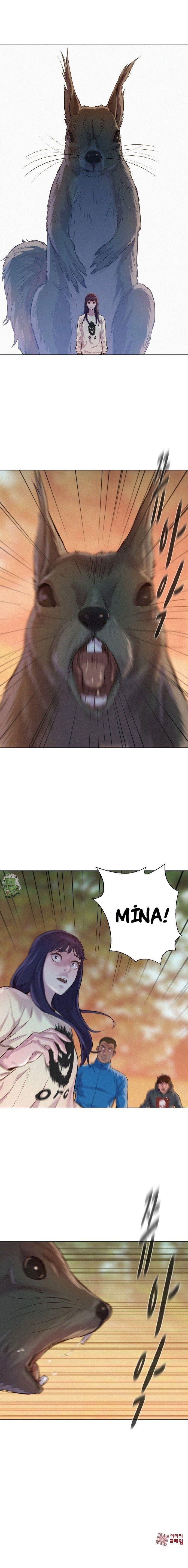 13-cmnq2268807i4ucwa0pciz3a1