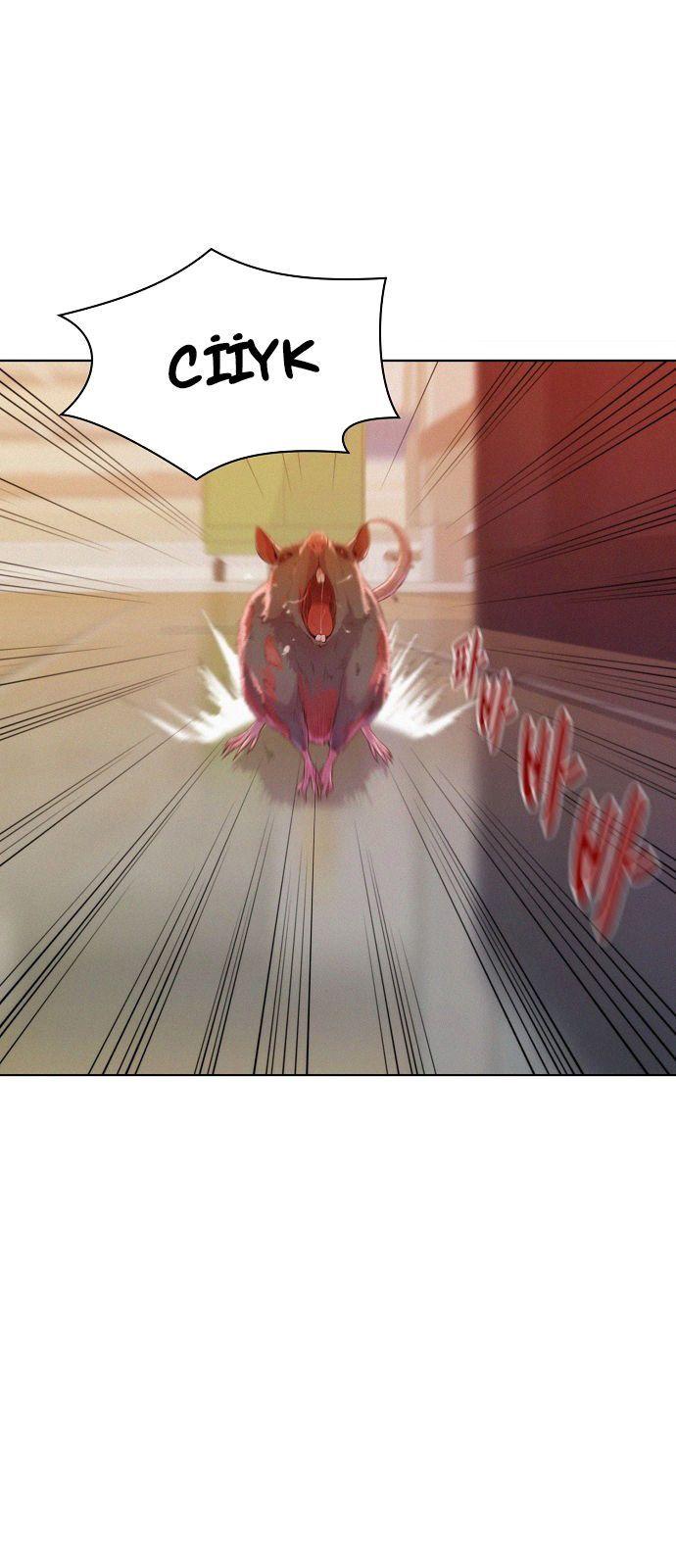 2-cmnq2268807i4ucwa0pciz3a1
