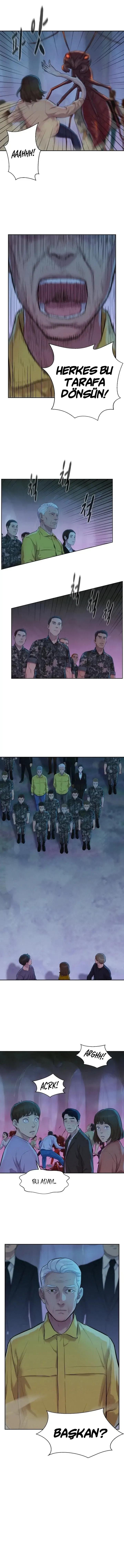13-cmnq2268807i4ucwa0pciz3a1