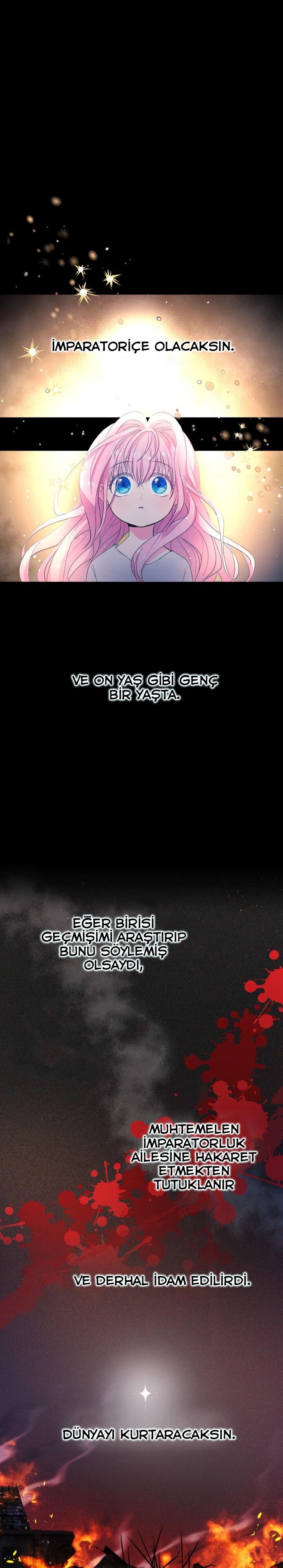 2-cm2xdfr0s0001tt82570od8ls