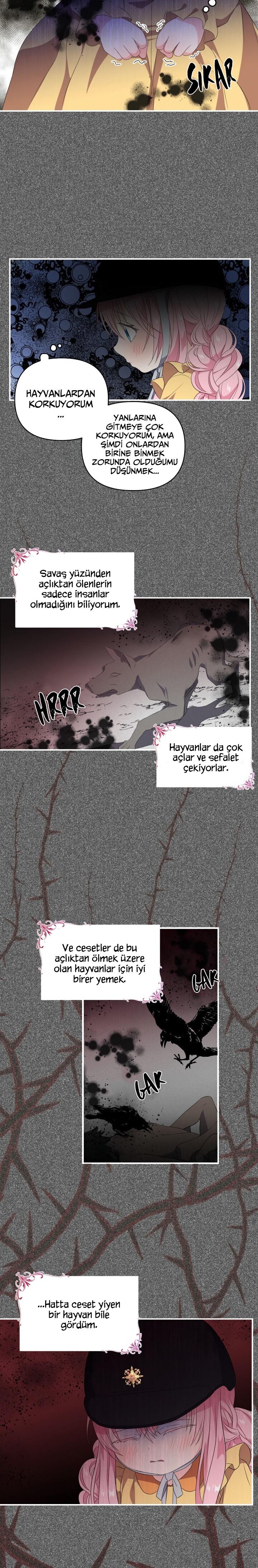 14-cm2xdfr0s0001tt82570od8ls