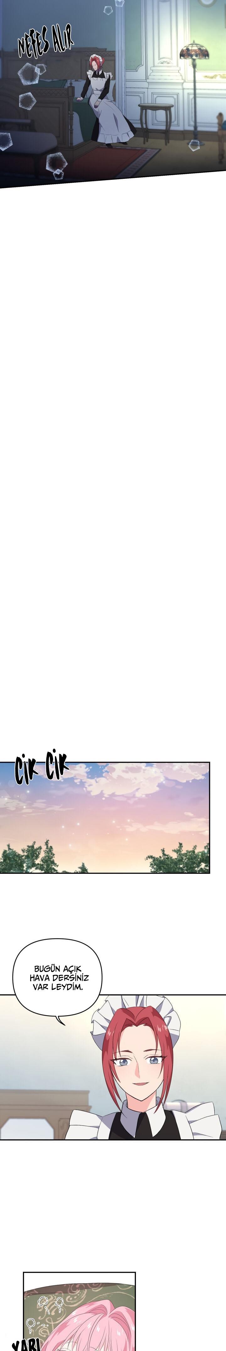 8-cm2xdfr0s0001tt82570od8ls