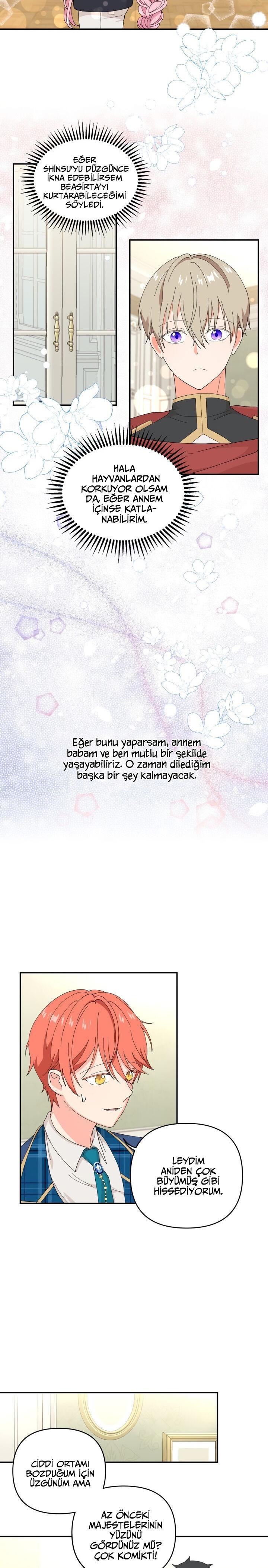4-cm2xdfr0s0001tt82570od8ls