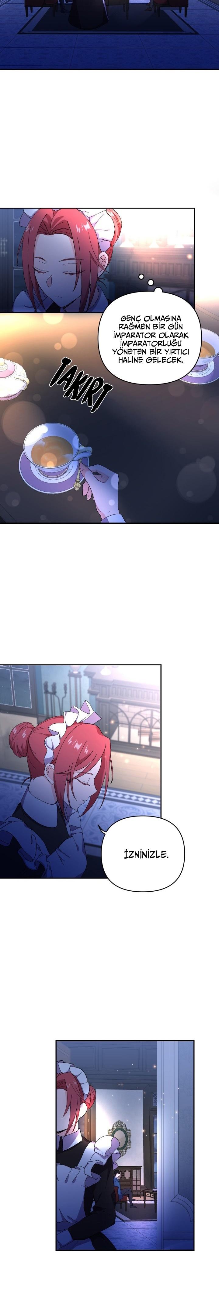 17-cm2xdfr0s0001tt82570od8ls