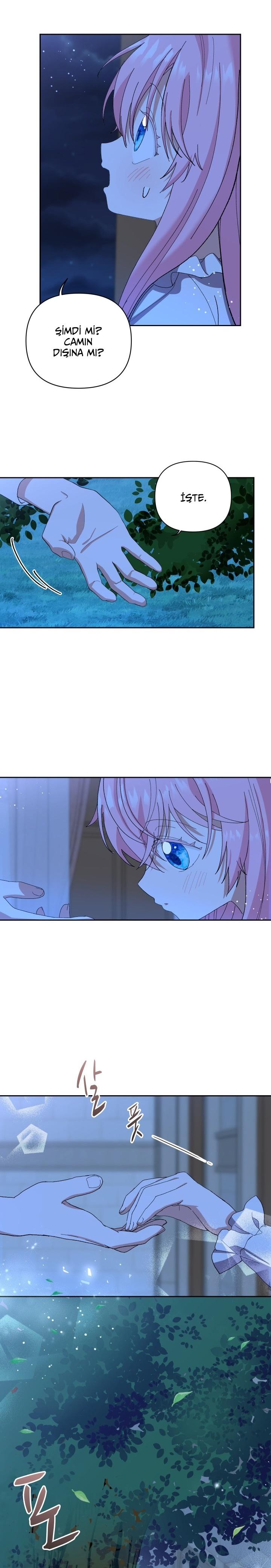 11-cm2xdfr0s0001tt82570od8ls