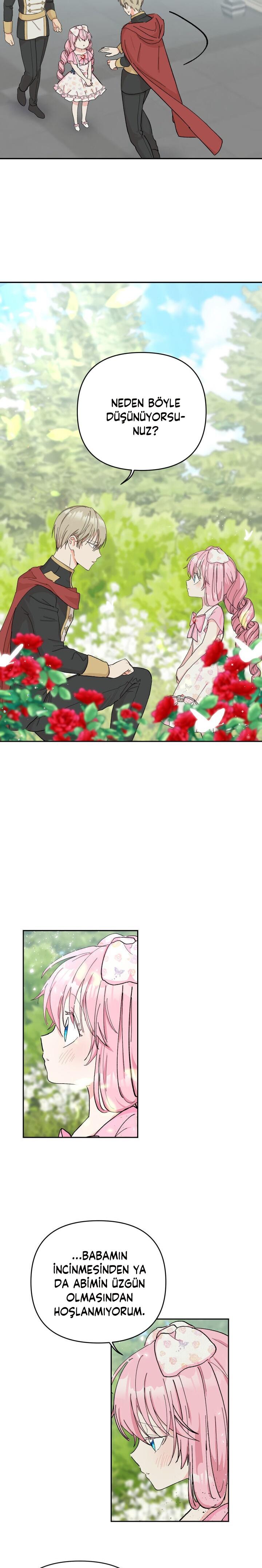 6-cm2xdfr0s0001tt82570od8ls