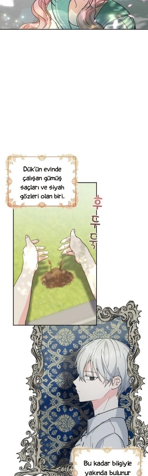 11-cm2xdfr0s0001tt82570od8ls