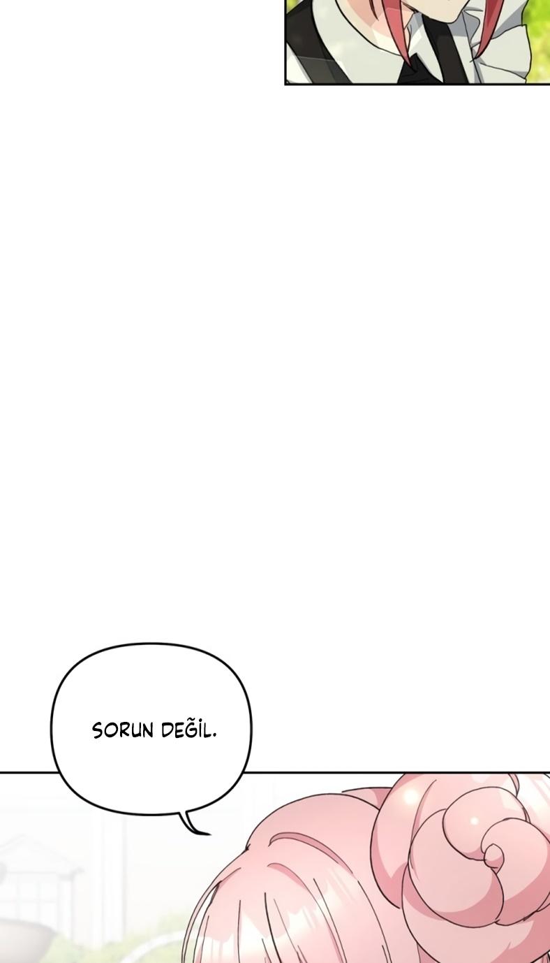 13-cm2xdfr0s0001tt82570od8ls