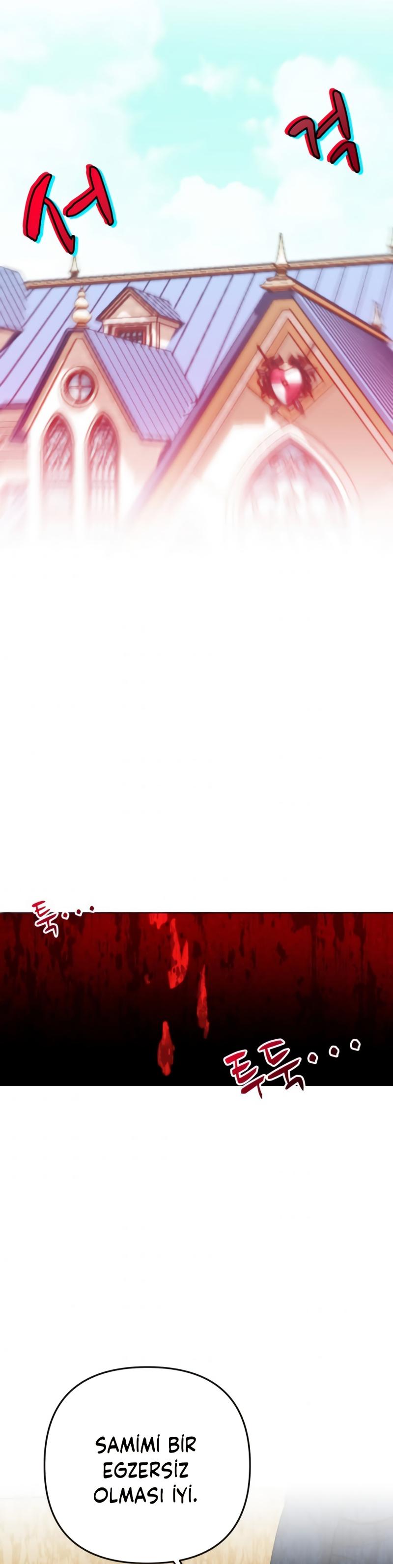25-cm2xdfr0s0001tt82570od8ls