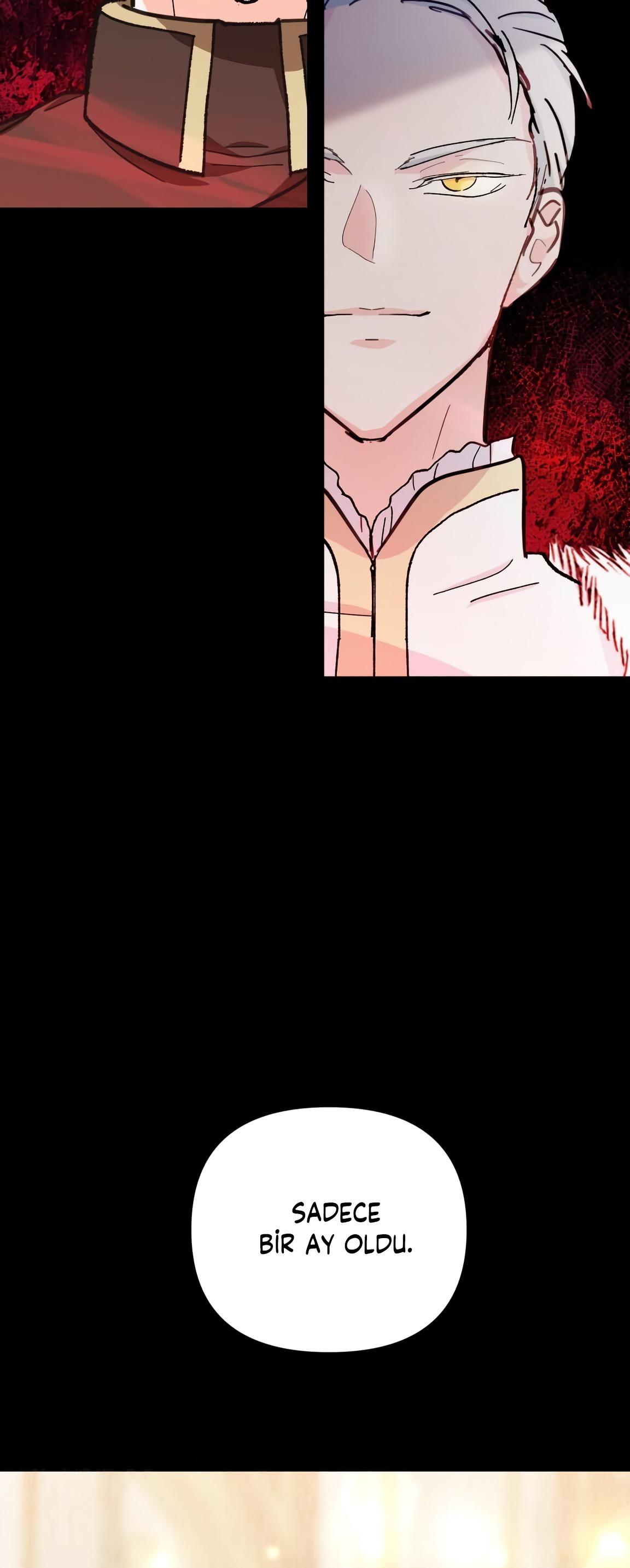 59-cm2xdfr0s0001tt82570od8ls
