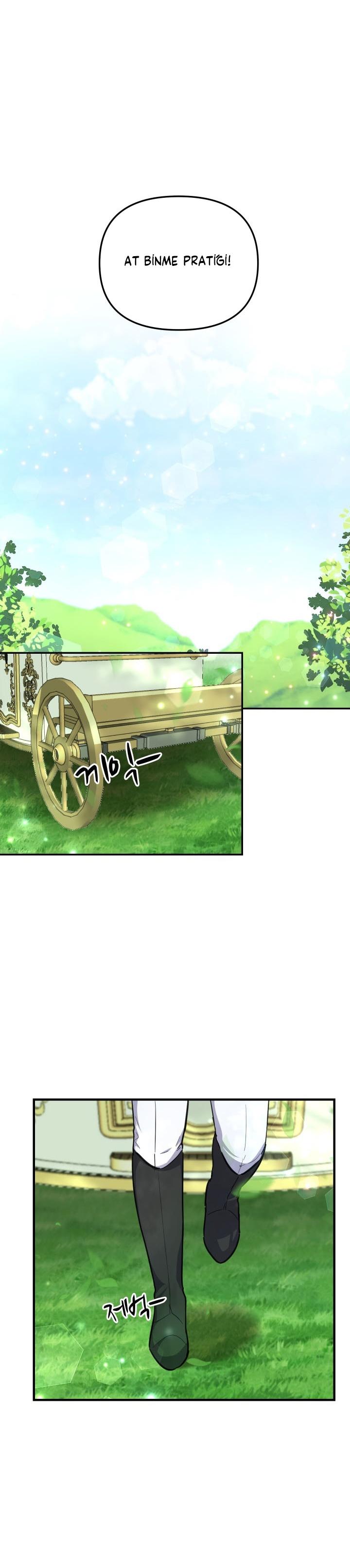 24-cm2xdfr0s0001tt82570od8ls