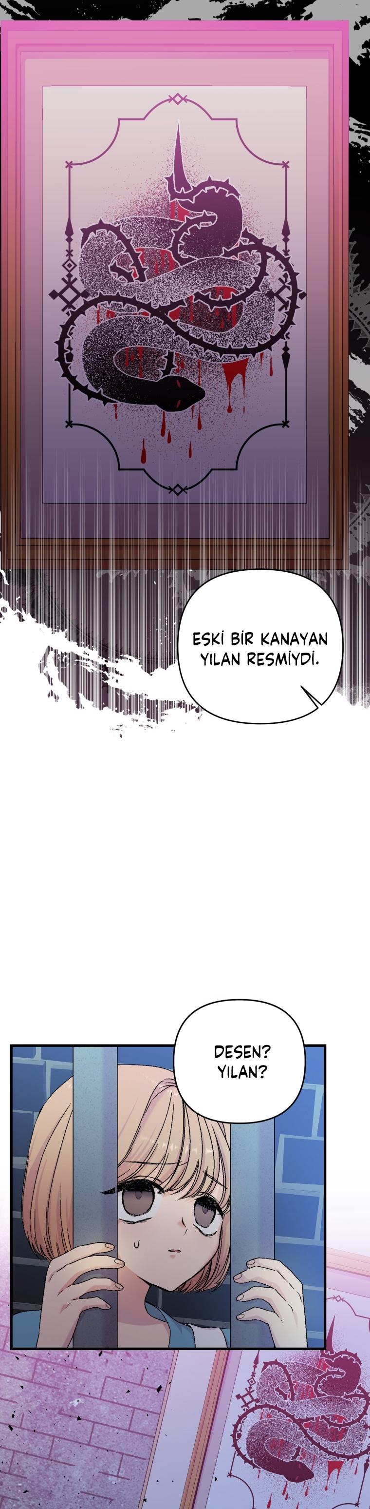 21-cm2xdfr0s0001tt82570od8ls