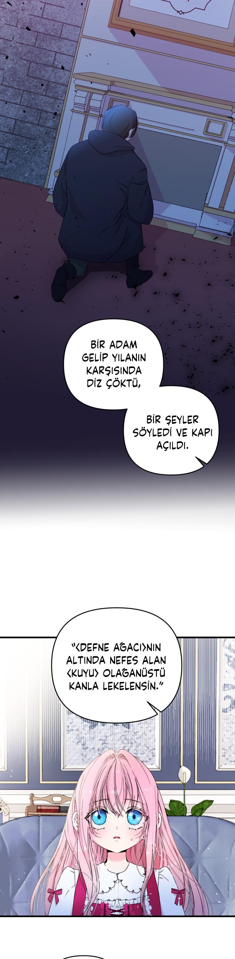 22-cm2xdfr0s0001tt82570od8ls