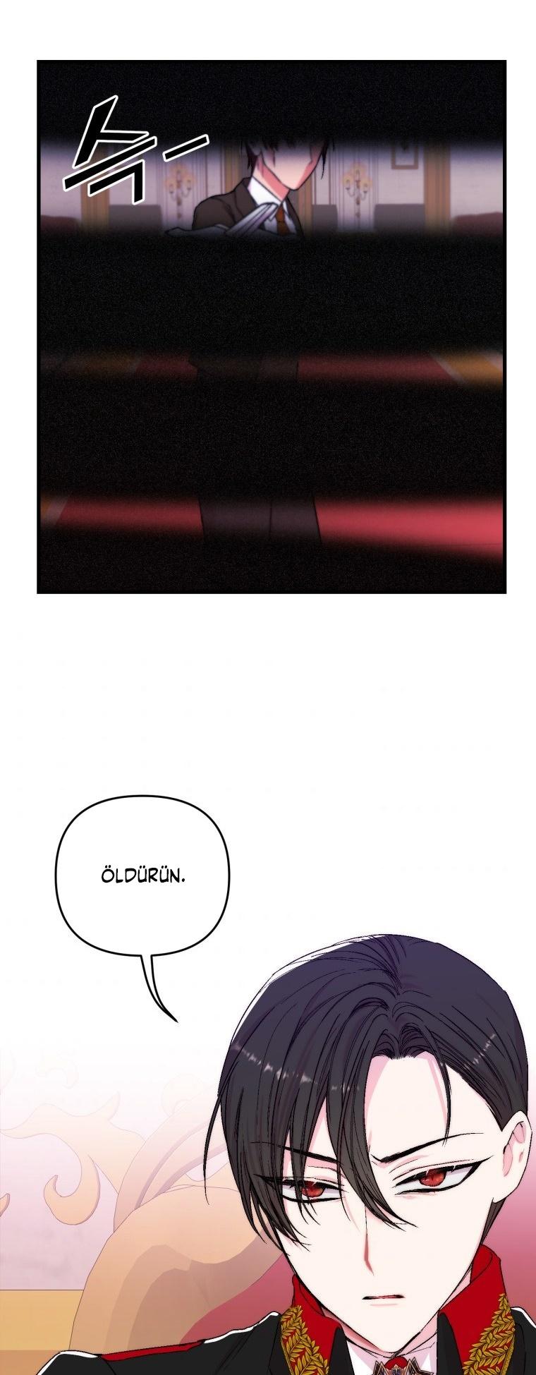 31-cm2xdfr0s0001tt82570od8ls