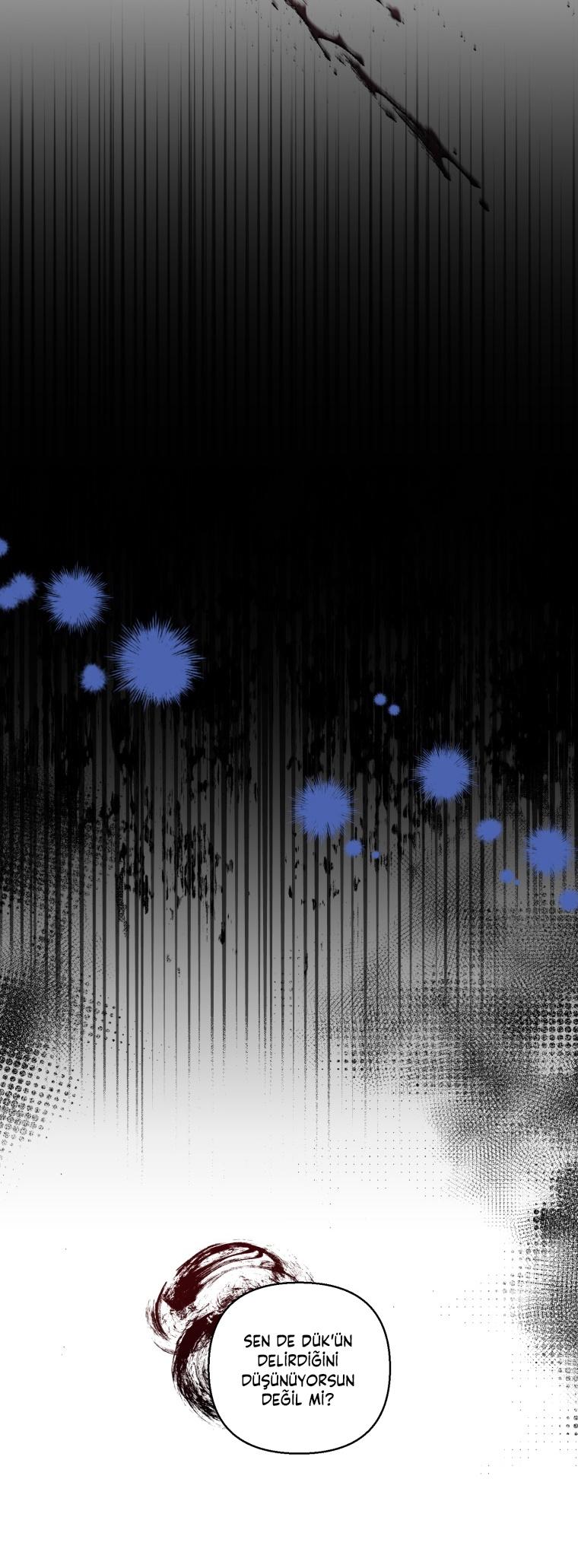 23-cm2xdfr0s0001tt82570od8ls