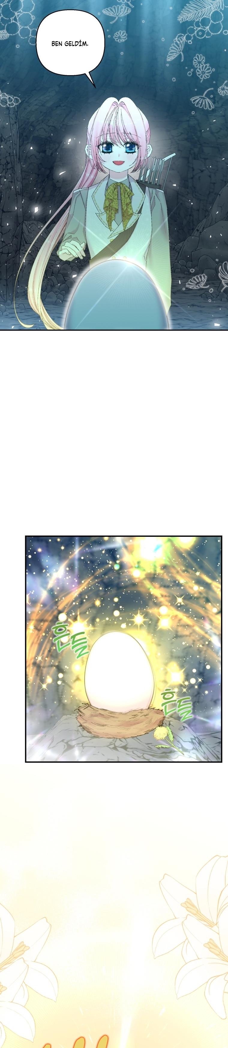 21-cm2xdfr0s0001tt82570od8ls