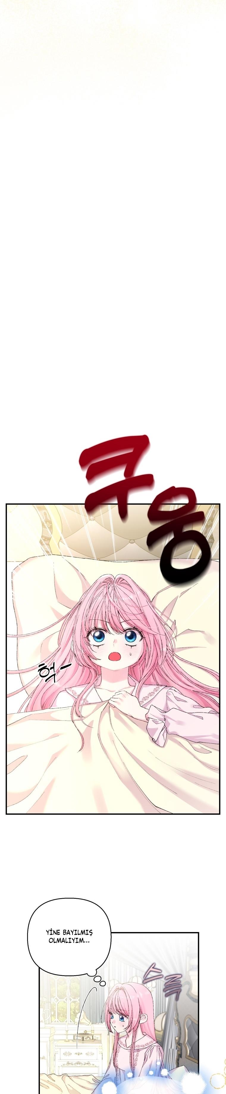 24-cm2xdfr0s0001tt82570od8ls