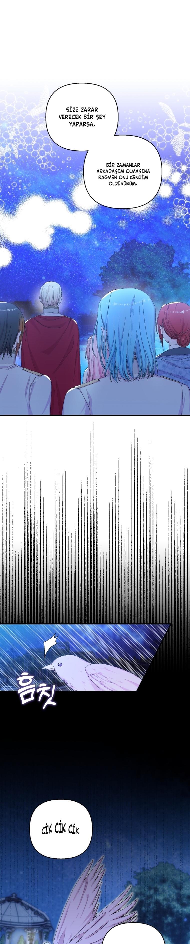 5-cm2xdfr0s0001tt82570od8ls