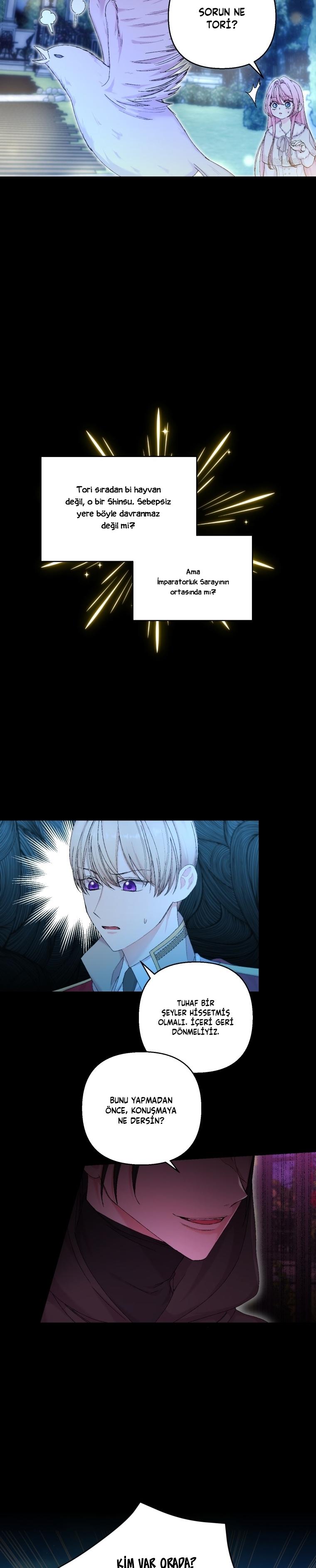6-cm2xdfr0s0001tt82570od8ls
