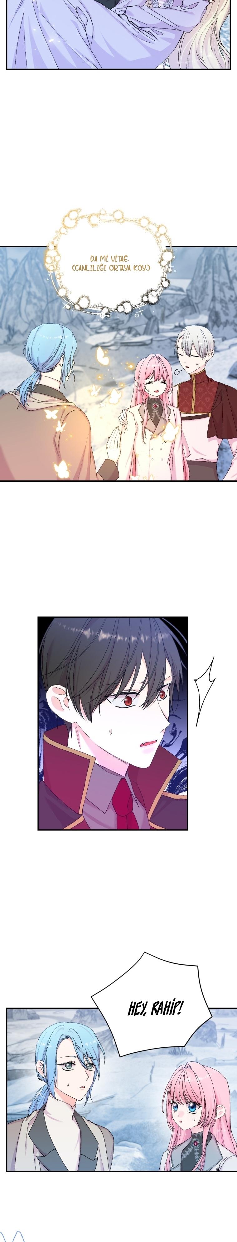 24-cm2xdfr0s0001tt82570od8ls