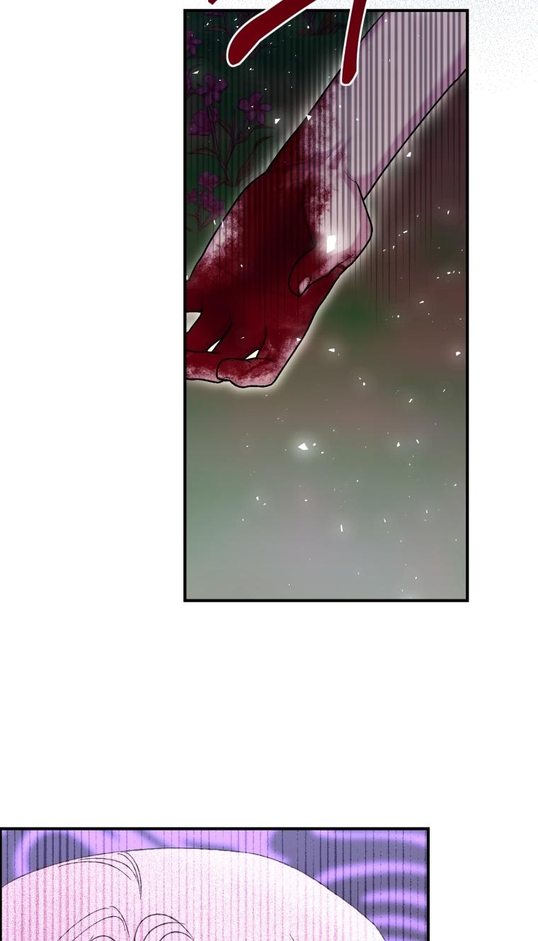 36-cm2xdfr0s0001tt82570od8ls