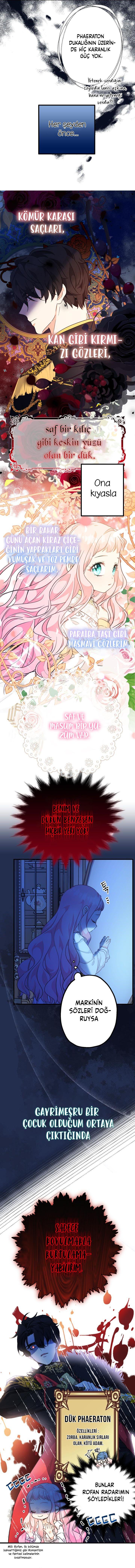10-cm2rpgn6k0000115g34l8up22
