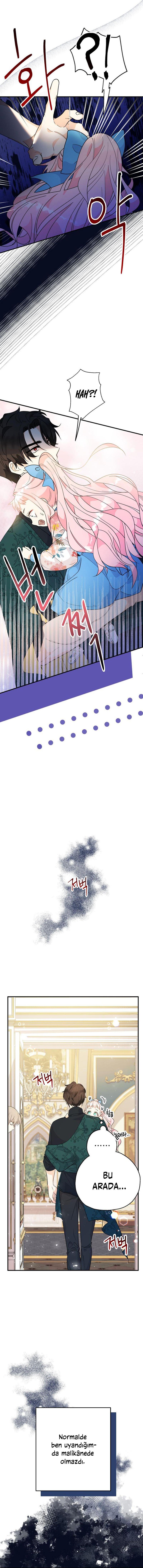 7-cm2rpgn6k0000115g34l8up22