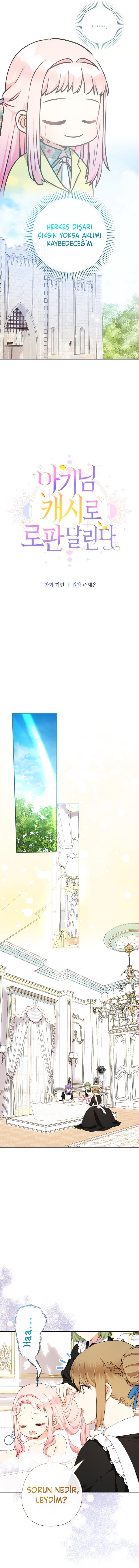 9-cm2rpgn6k0000115g34l8up22