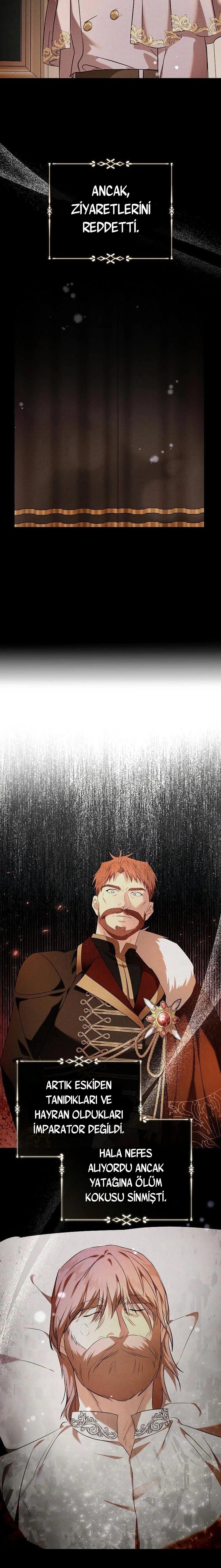 16-cmc1vvo430025phxcd4xhnki2