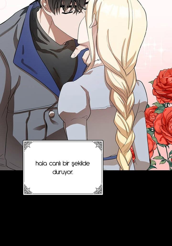 52-cmc1vvo430025phxcd4xhnki2