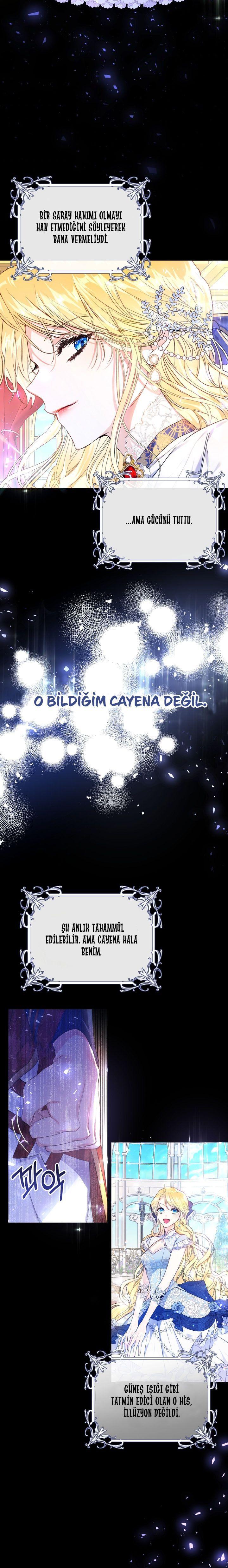 3-cmnq2268807i4ucwa0pciz3a1