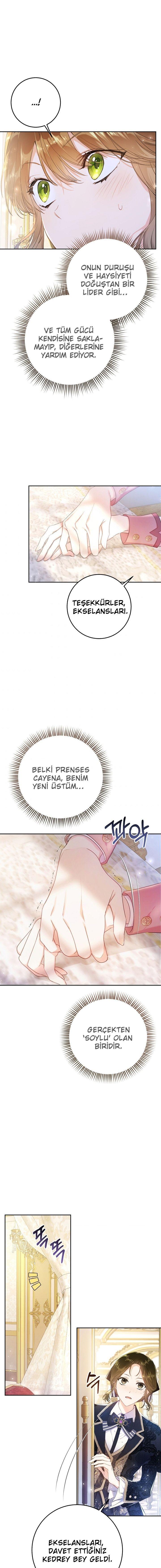 7-cmnq2268807i4ucwa0pciz3a1