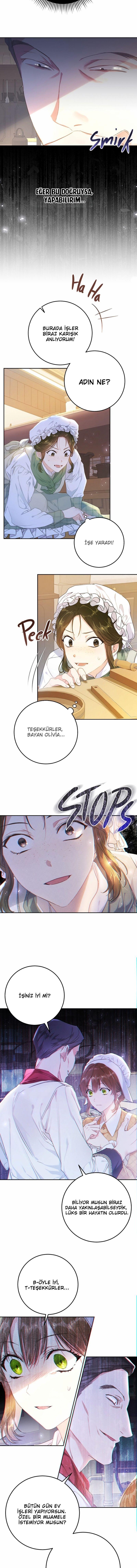 5-cmnq2268807i4ucwa0pciz3a1