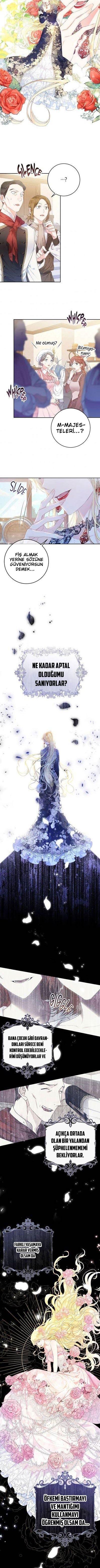 8-cmnq2268807i4ucwa0pciz3a1