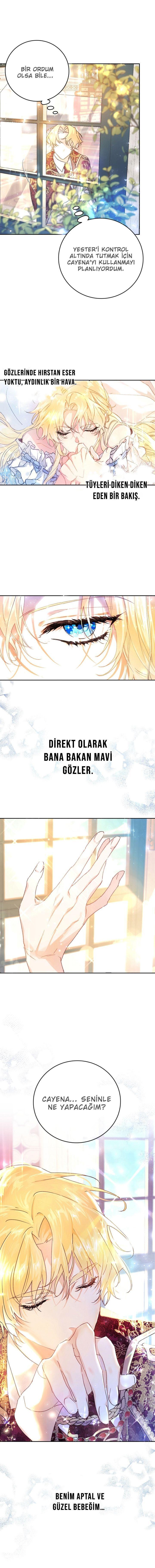 5-cmnq2268807i4ucwa0pciz3a1