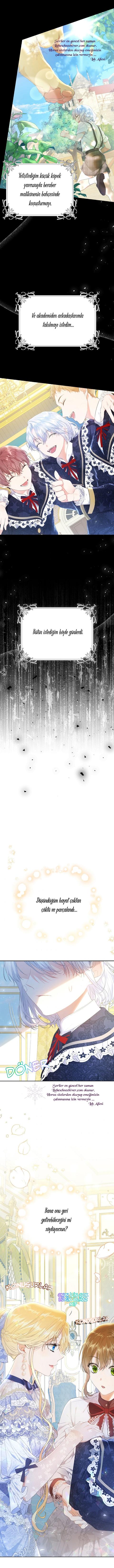 12-cmnq2268807i4ucwa0pciz3a1