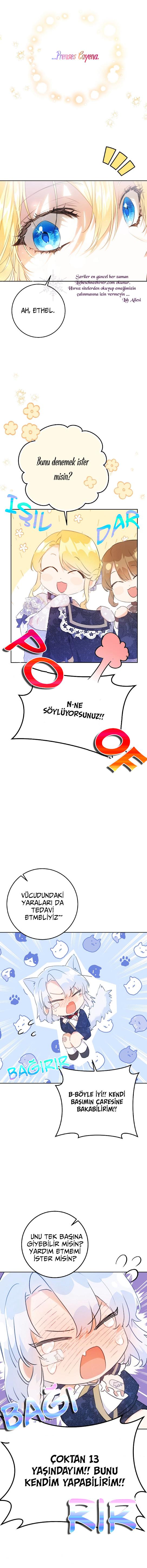 13-cmnq2268807i4ucwa0pciz3a1