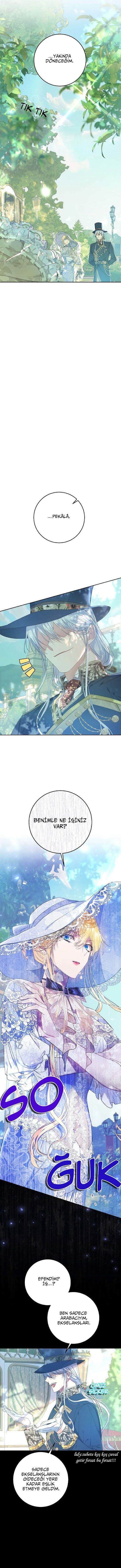 5-cmnq2268807i4ucwa0pciz3a1