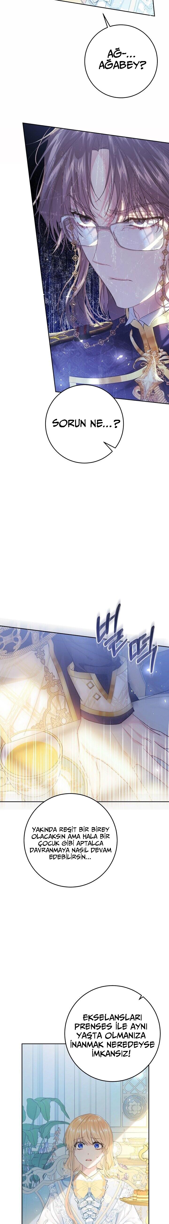 6-cmnq2268807i4ucwa0pciz3a1