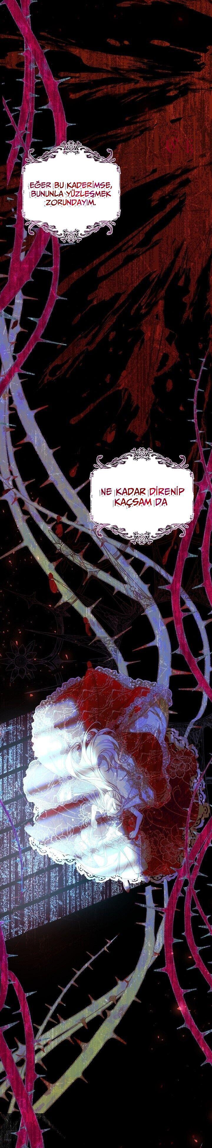 13-cmnq2268807i4ucwa0pciz3a1