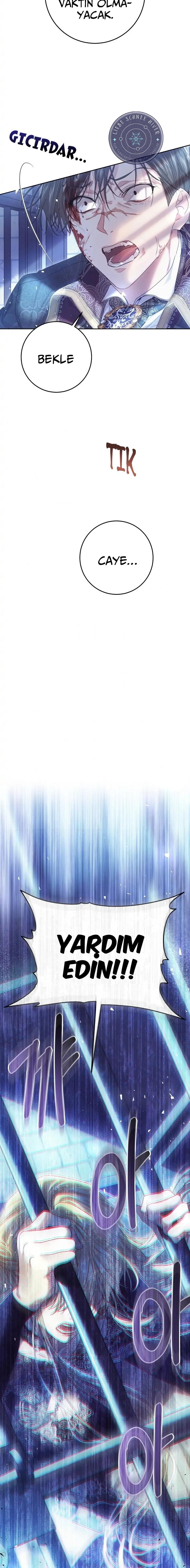7-cmnq2268807i4ucwa0pciz3a1