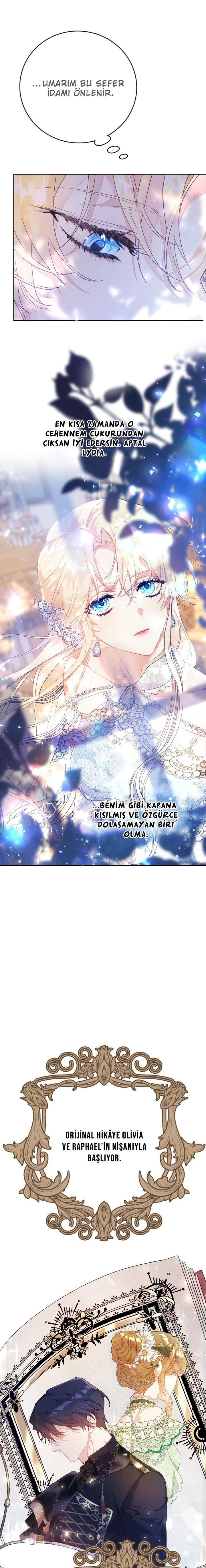 15-cmnq2268807i4ucwa0pciz3a1