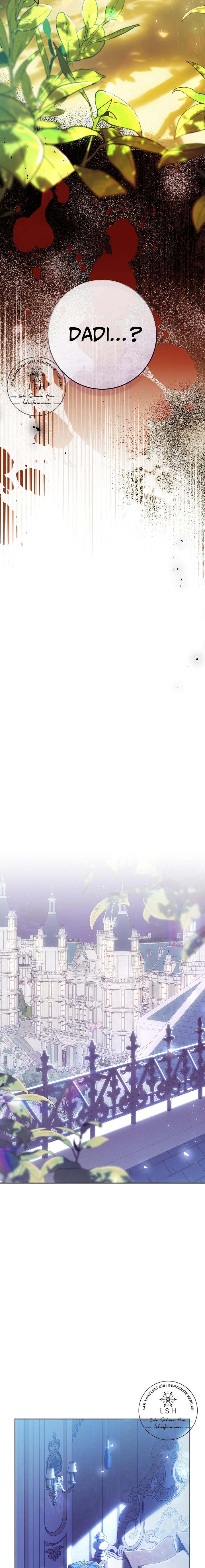 16-cmnq2268807i4ucwa0pciz3a1