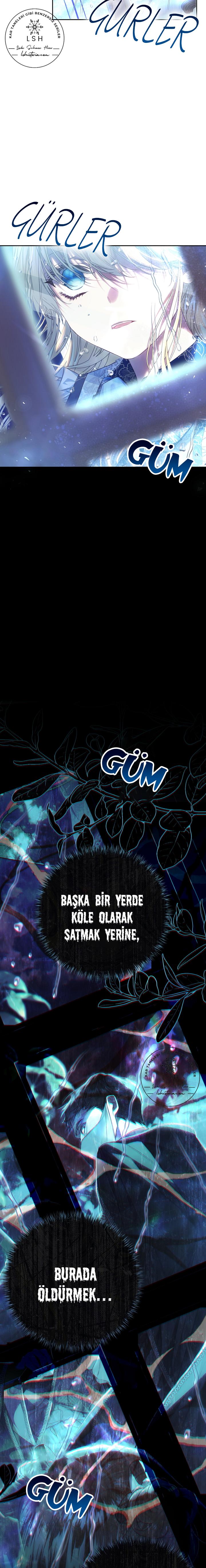 20-cmnq2268807i4ucwa0pciz3a1