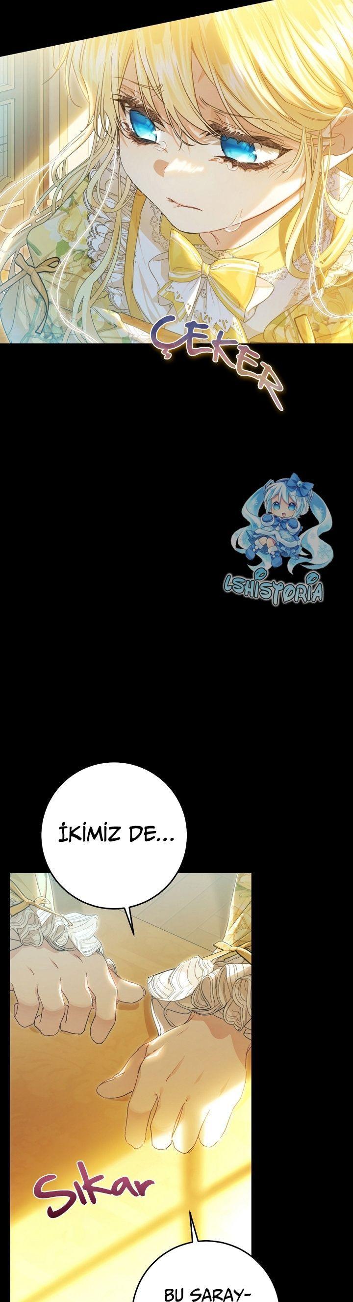 13-cmnq2268807i4ucwa0pciz3a1