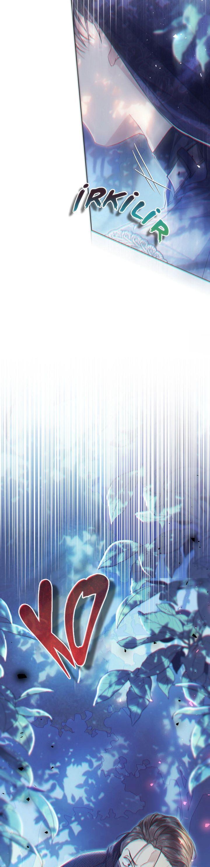 31-cmnq2268807i4ucwa0pciz3a1