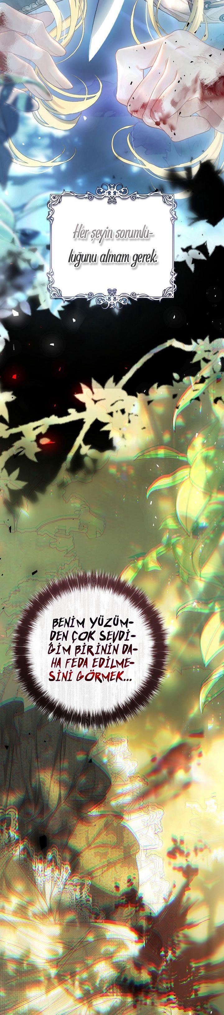 29-cmnq2268807i4ucwa0pciz3a1