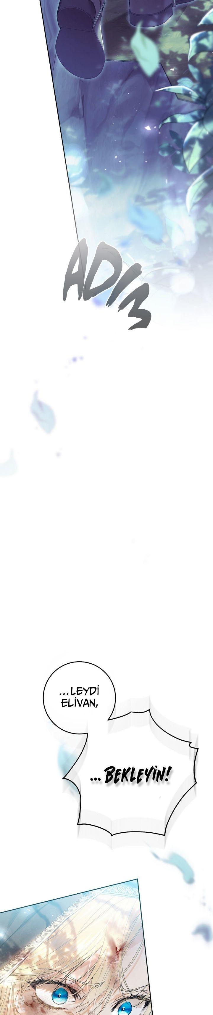 40-cmnq2268807i4ucwa0pciz3a1