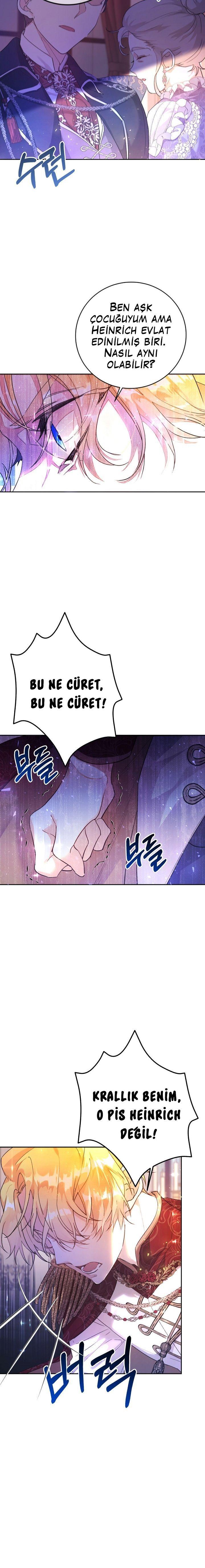 3-cmnq2268807i4ucwa0pciz3a1